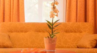 مستر هتل آن پروومیسکایا