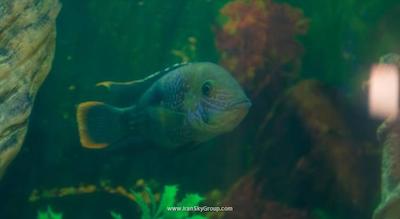 مستر هتل آن پروومیسکایا