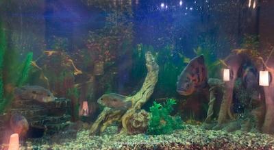 مستر هتل آن پروومیسکایا