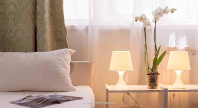 اندرون هتل آن ایلیچا اسکوئر