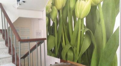 سیتی کامفورت هتل کیتی-گرد