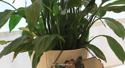 سواستوپول مدرن