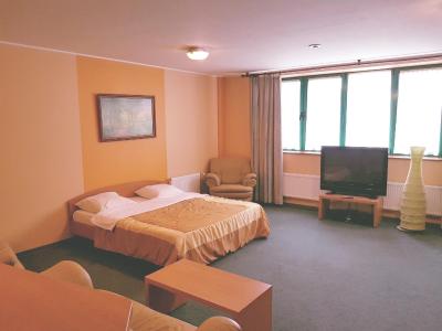 مستر هتل کوتلنیکی