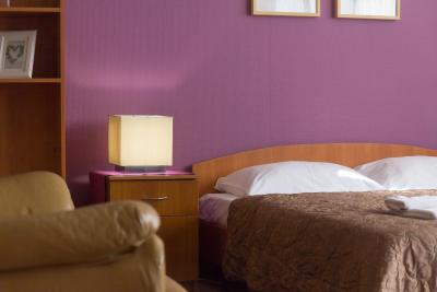 مستر هتل کوتلنیکی