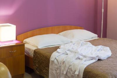 مستر هتل کوتلنیکی