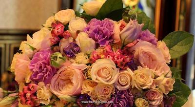 نابت پالاس دومدودوو