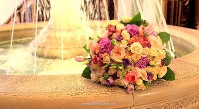 نابت پالاس دومدودوو