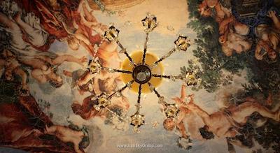 نابت پالاس دومدودوو