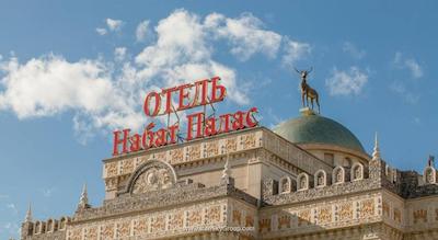 نابت پالاس دومدودوو