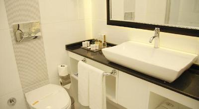 آسرین پارک هتل اند اسپا