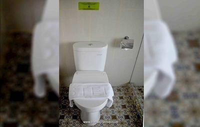 ماکسنهتلز کام ات گلودوک