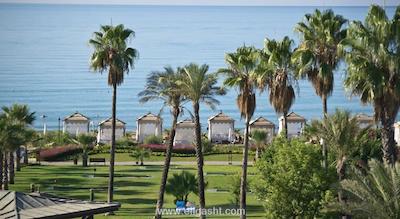 لیماک آرکادیا گلف