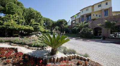 لیماک آرکادیا گلف