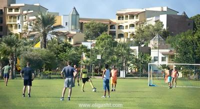 لیماک آرکادیا گلف