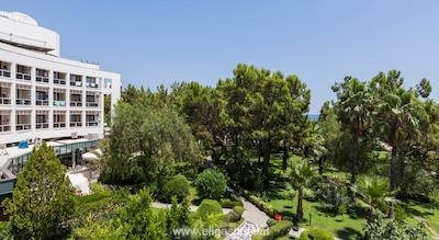 ماجستی کلاب لامر