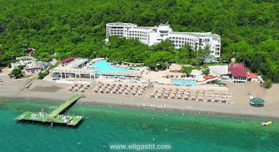 ماجستی کلاب لامر