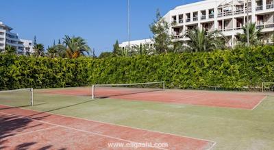 ماجستی کلاب لامر