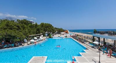 ماجستی کلاب لامر