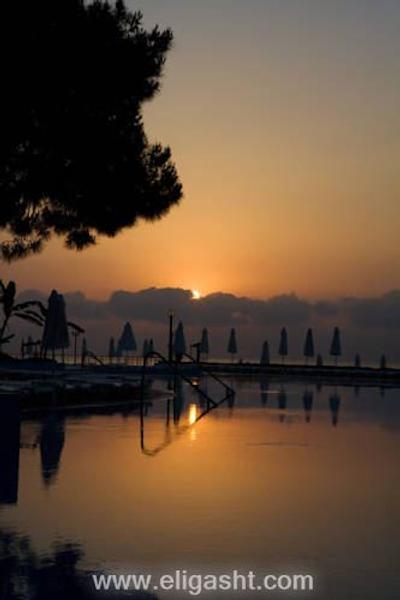 ماجستی کلاب لامر