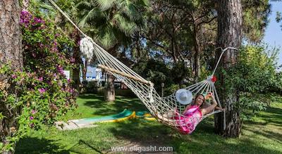 ماجستی کلاب لامر