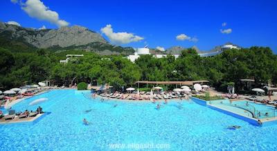 ماجستی کلاب لامر