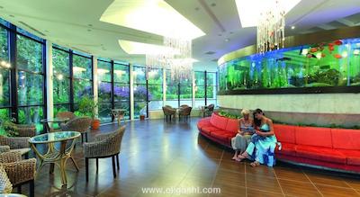 ماجستی کلاب لامر