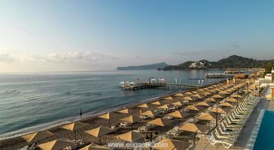 ماجستی کلاب لامر