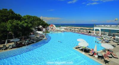 ماجستی کلاب لامر