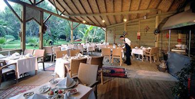 ماجستی کلاب لامر