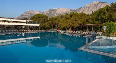 ماجستی کلاب لامر