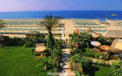 بلک بیچ ریزورت