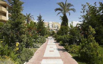 بلک بیچ ریزورت