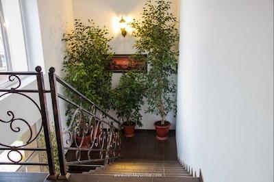 پاپایا پارک هتل