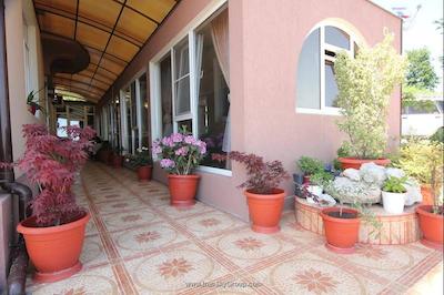 پاپایا پارک هتل