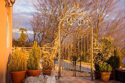 پاپایا پارک هتل