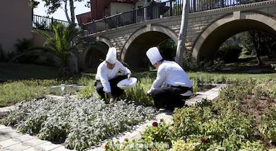 پالما گریدا ریزورت اند اسپا