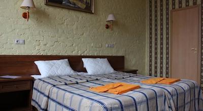 آر ای رایبینسکایا 7