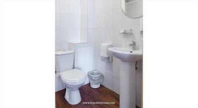 آر ای رایبینسکایا 7