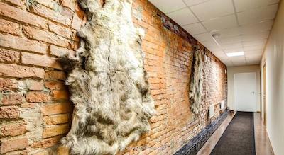 هتل 365 اس پی بی