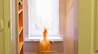 نوسکی کانتور هتل