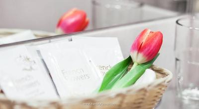 نوسکی کانتور هتل