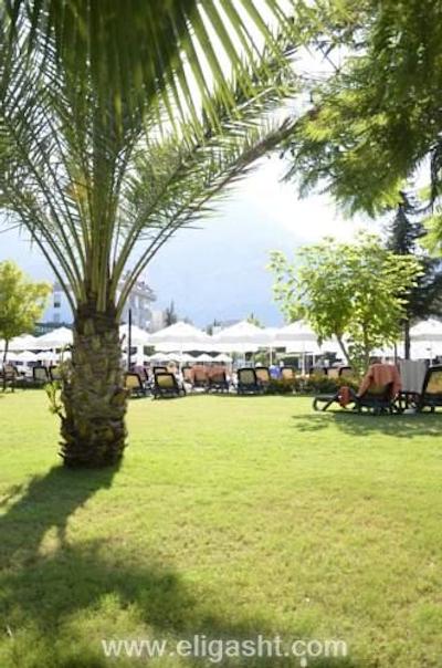 شروود گرینوود ریزورت هتل