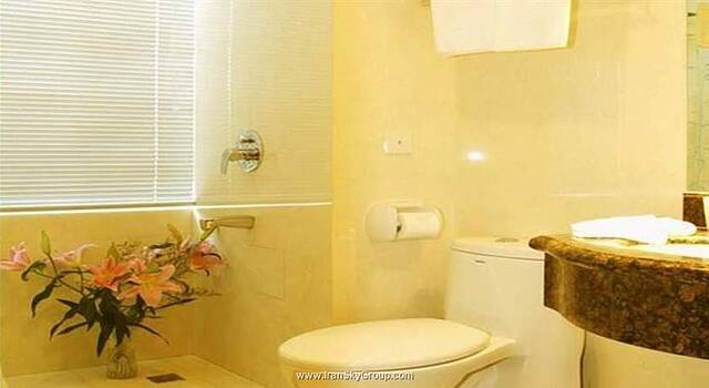 گرین تری این شانگهای هانگ کائو ایرپورت اپارتمنت هتل