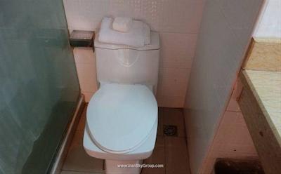 جینجیانگ این شانگهای چینگپو