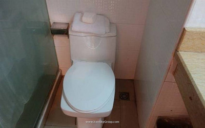 جینجیانگ این شانگهای چینگپو