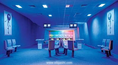 ماجستی میراژ پارک ریزورت