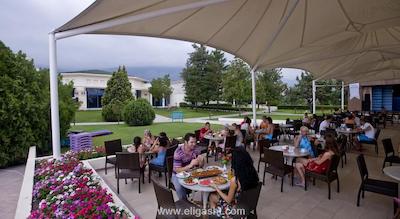 ماجستی میراژ پارک ریزورت