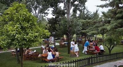 ماجستی میراژ پارک ریزورت