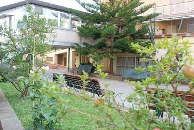 کسا ترا نوعی