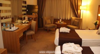 سورملی هتل آنکارا